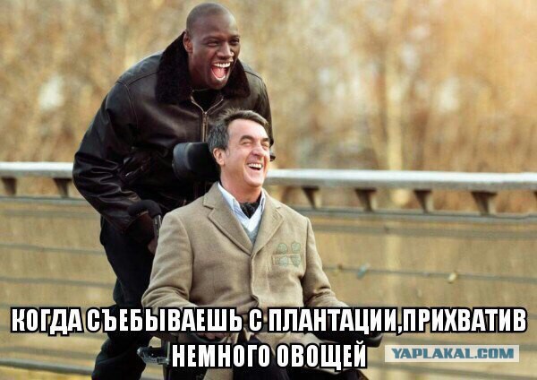 Смешные комментарии из социальных сетей 16.09.2016