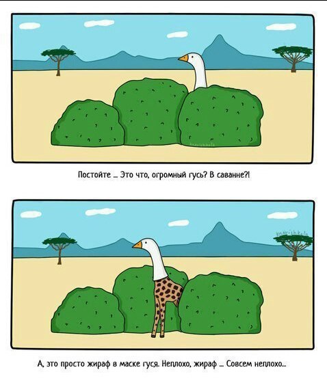 Юмор не для всех