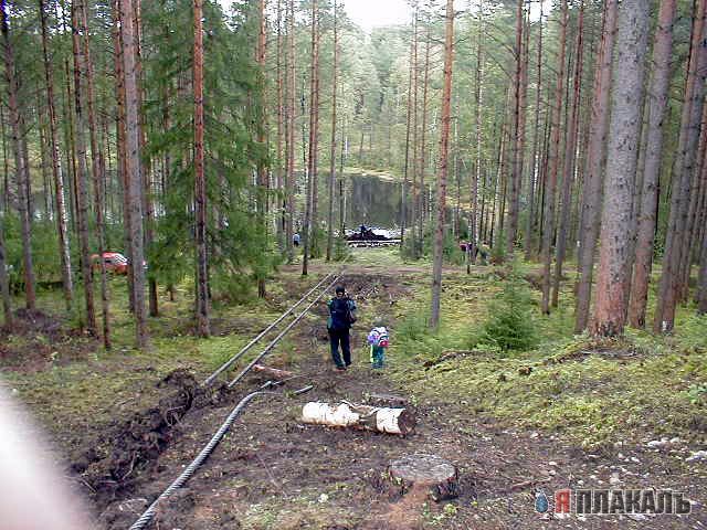 Если его смазать, заправить он еще вражинам задаст