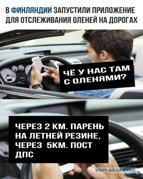 15 картинок с надписями на разные темы-2