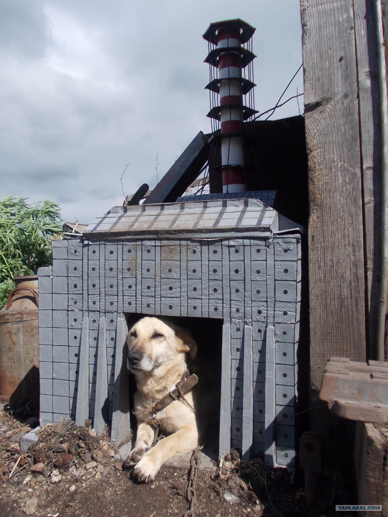 Fallout 4 будка для собаки фото 50