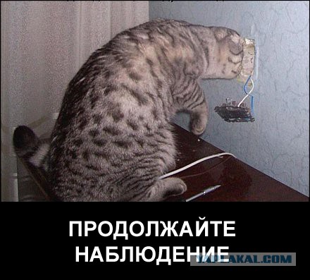 22 фотографии, которые заставят вас как следует присмотреться