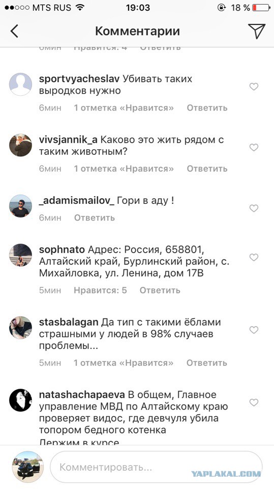 Дело живодерок №2
