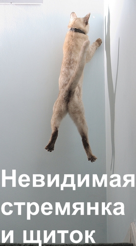 Коты и невидимые предметы 26 фот