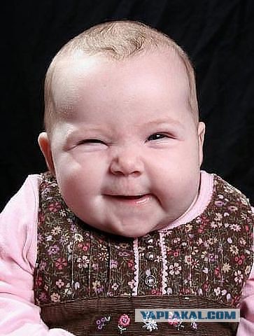 Происхождение интернет мемов которые мы все так любим