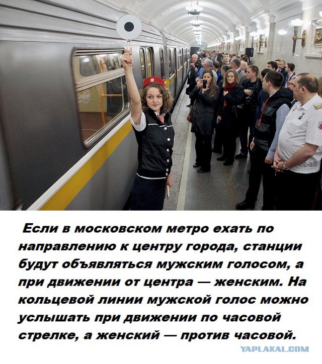 Подборка бесполезных фактов