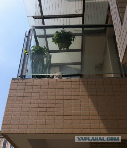 Котовторник 20.03.2012