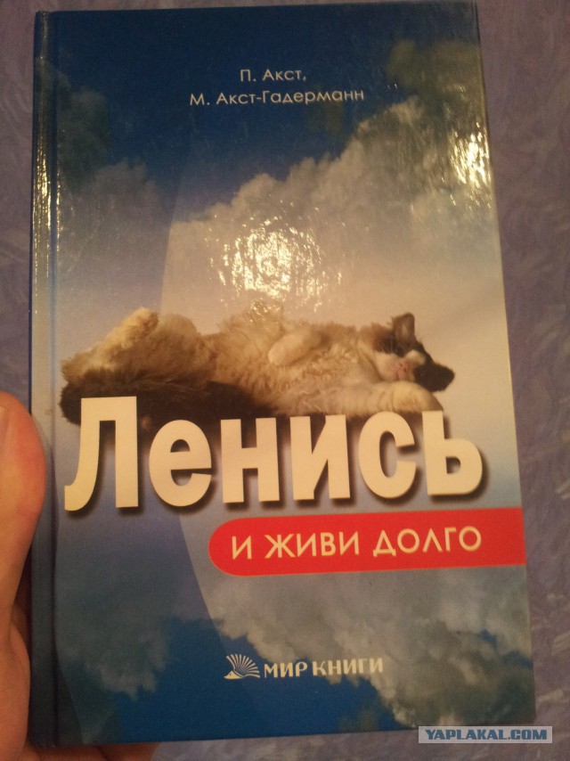 Пользователи интернета видят рифмы и слагают прикольные четверостишия