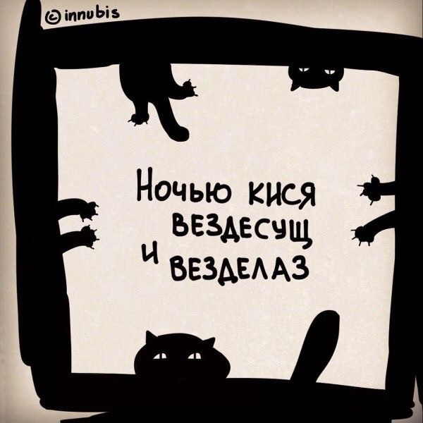 Картинки с надписями и коты, много котов