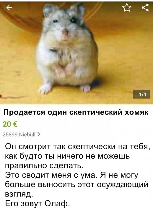 Куда катится жизнь