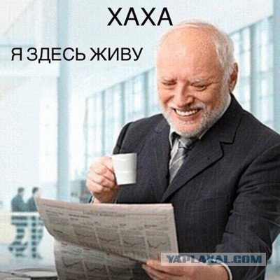 Конфликт из-за выгула собаки