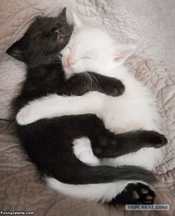 Черно-белый мир