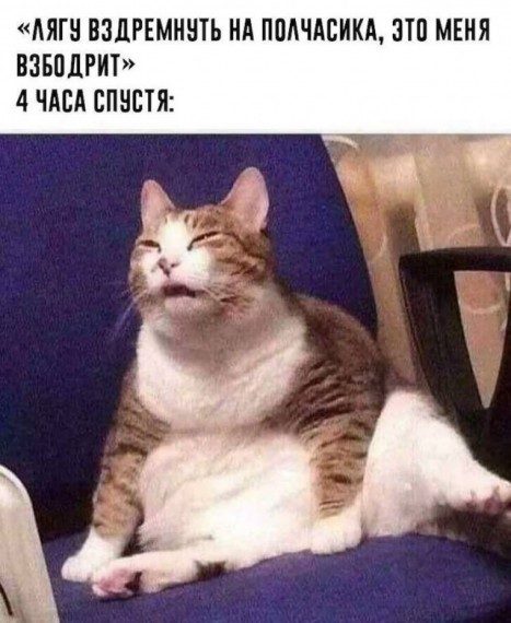 Кретинки