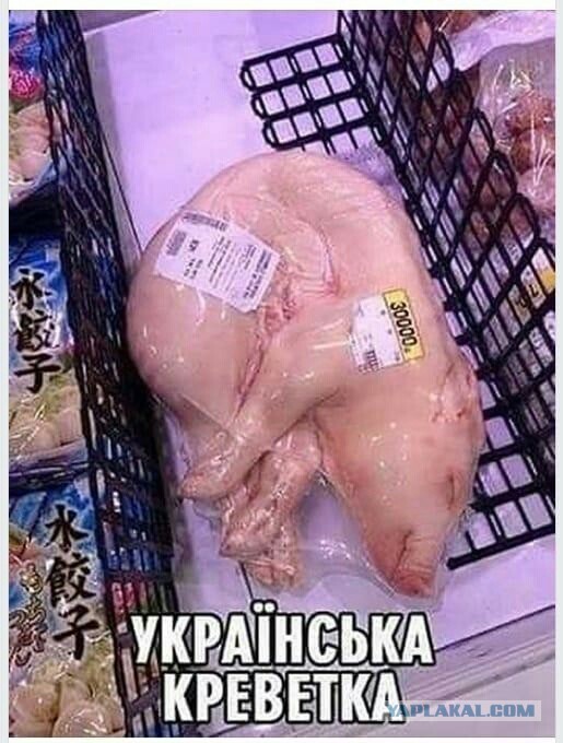 Бредзона 26.12.2019