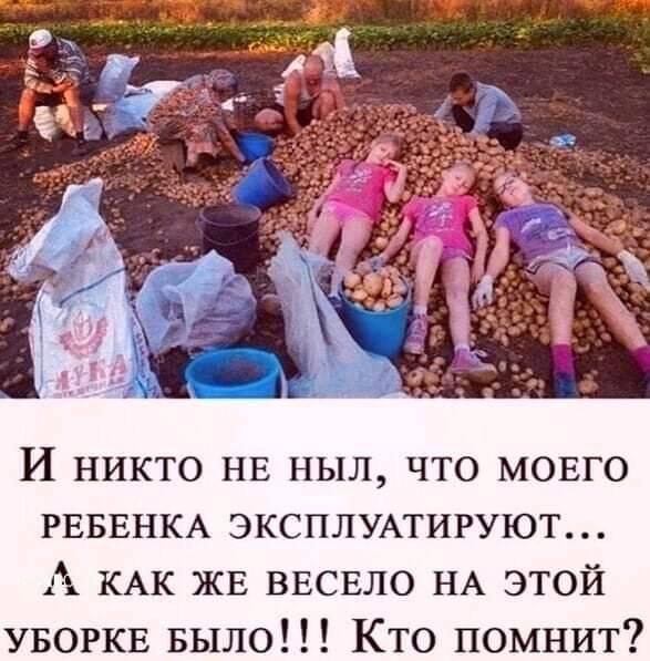 Бредзона