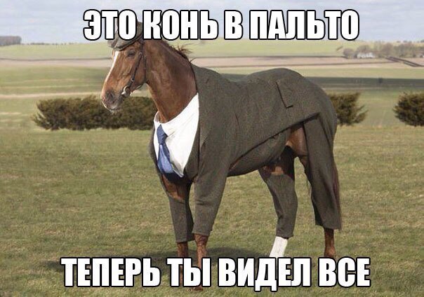 Чуток картинок 15.02.20