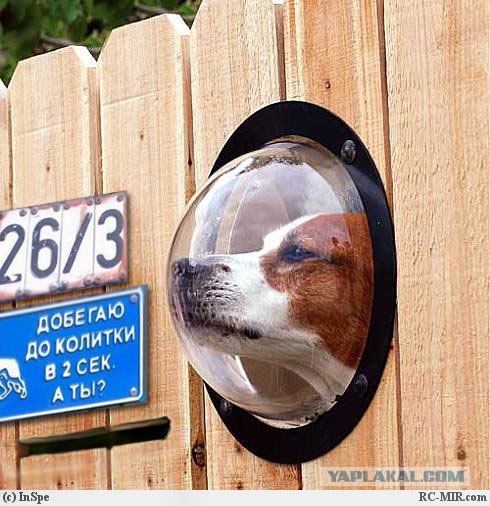 Фотожаба: Я Табличка