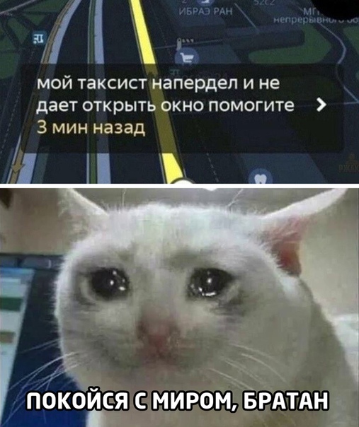 Немного картинок для настроения 21.07.20