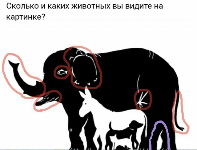 Юмор в картинках 7.10.20
