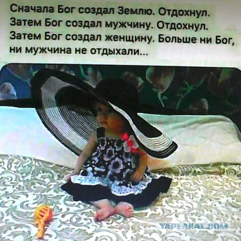 Фотки и картинки: юморные и красивые, забавные и милые 30.10.20