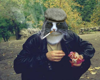 Товарищ Котофеев