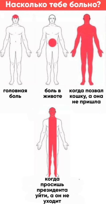 Весёлый полтишок 19.03