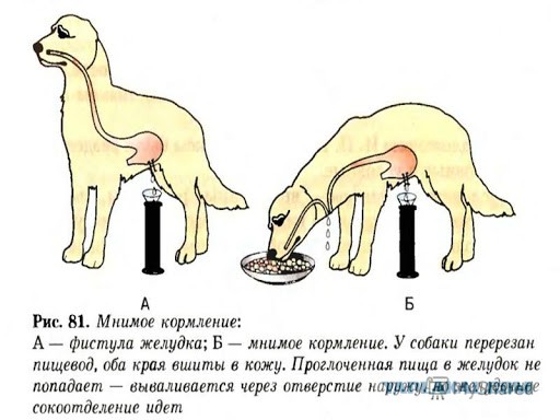 Отмена деградации. Околонаучные картинки
