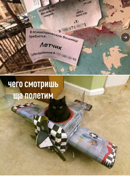 Картинки и мемы для настроения 28.06.2021