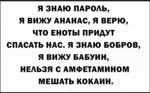 Весёлый полтишок 21.07