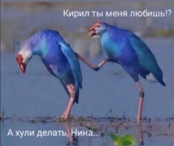 Немного картинок разной степени новизны и адекватности - 9