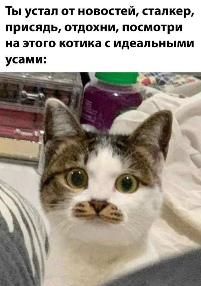 Так себе картинки 03.03.22