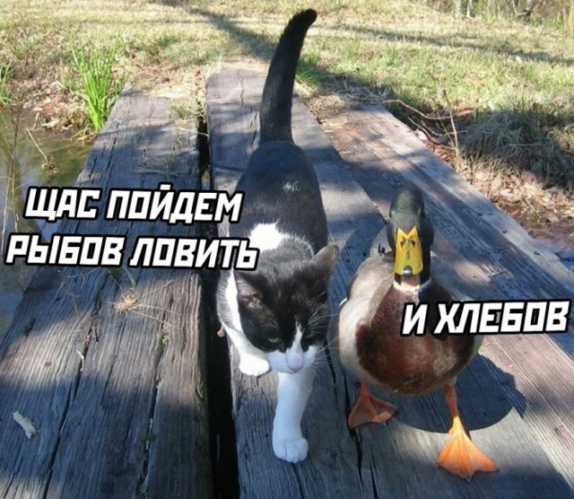 Немного картинок и прочей хреноты Vol. 5