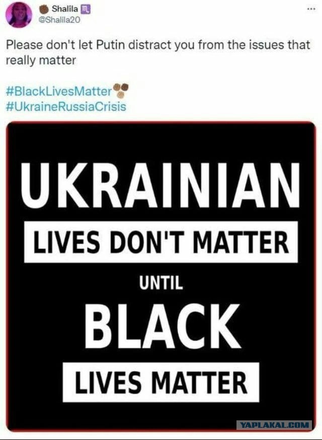Кричащие крошки BLM внезапно арестованы