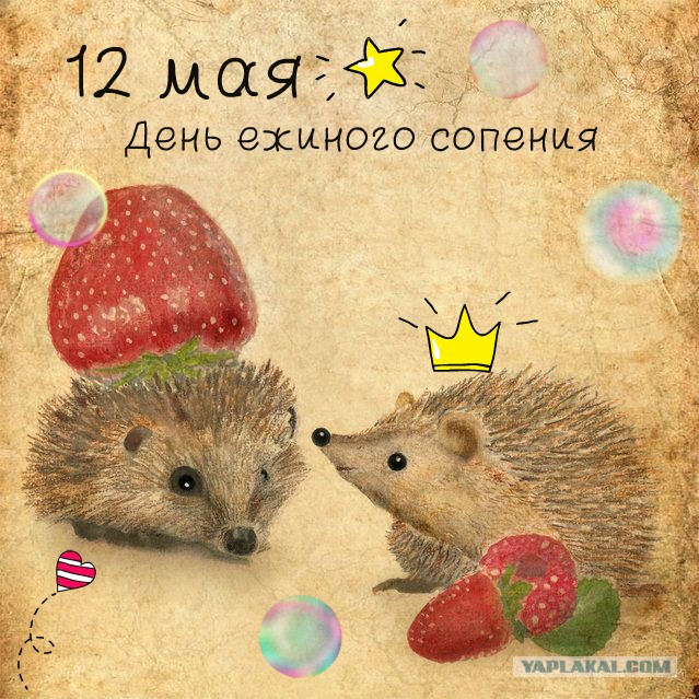 Ай-яй-яааай