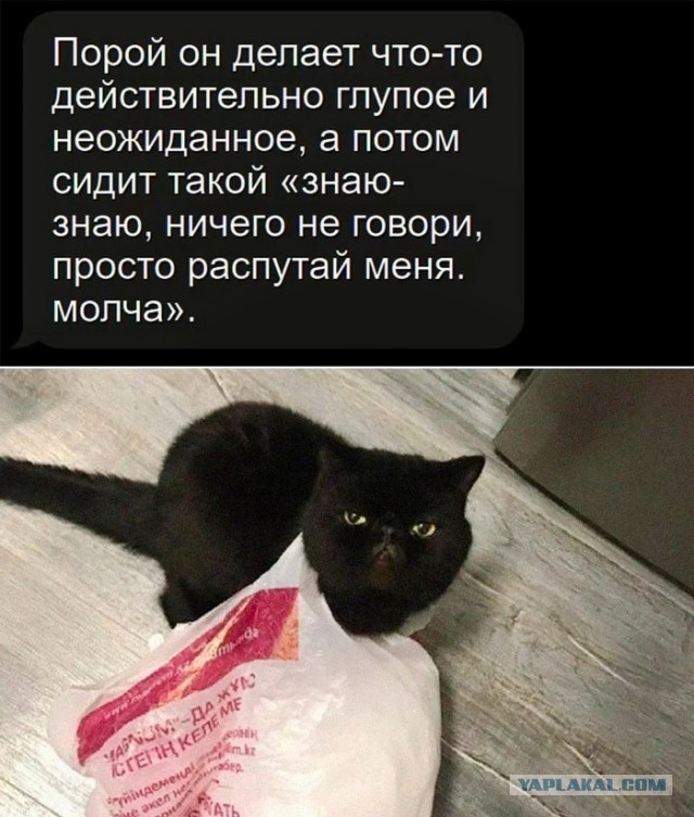 Так себе картинки 31.05.22