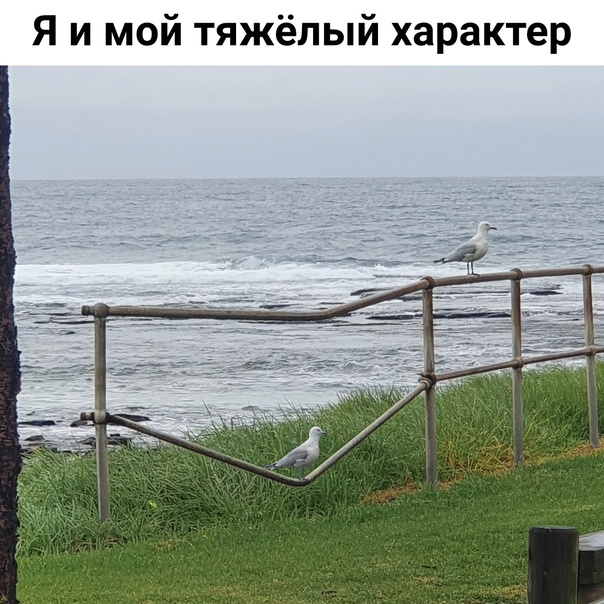 Картинки и мемы для настроения - 03