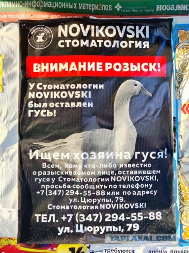Зачем бабы пищат и верещат?