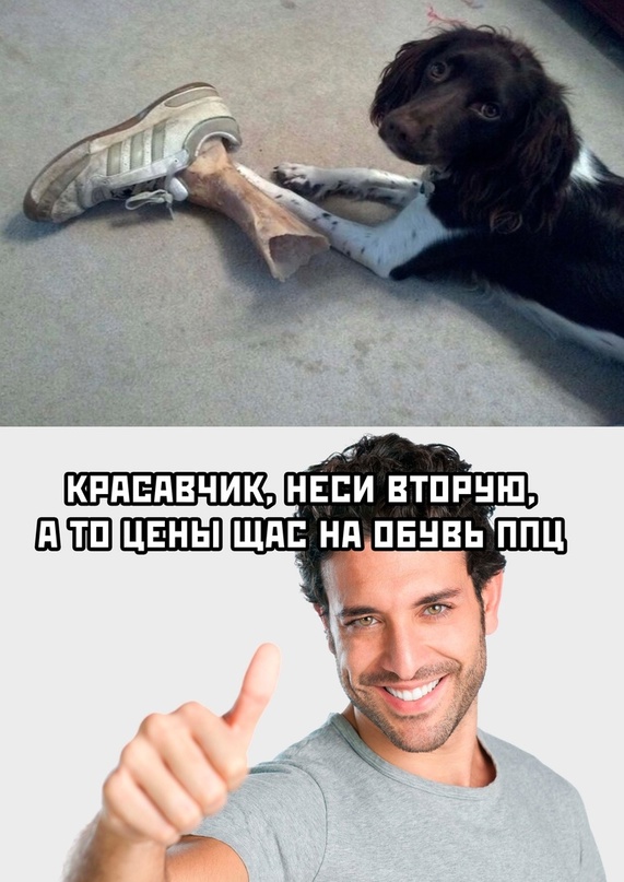 Немного картинок для настроения - 114