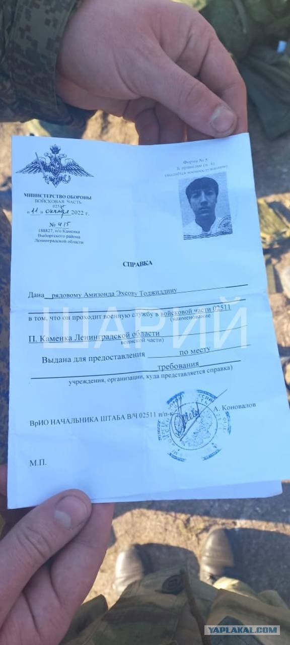 Фото последствий расстрела мобилизованных на полигоне под Белгородом