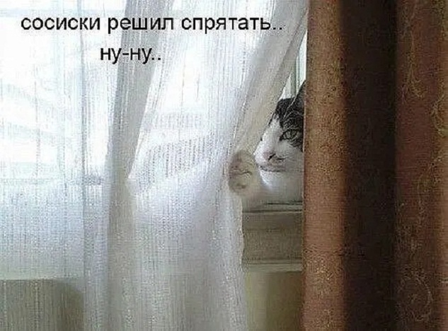 Картинки и мемы, выходные продолжаются
