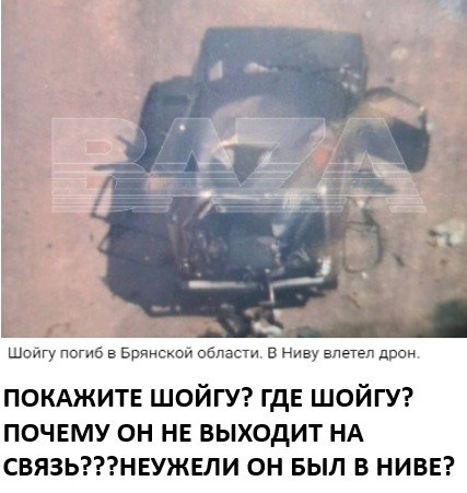 Опять Эдельвейс