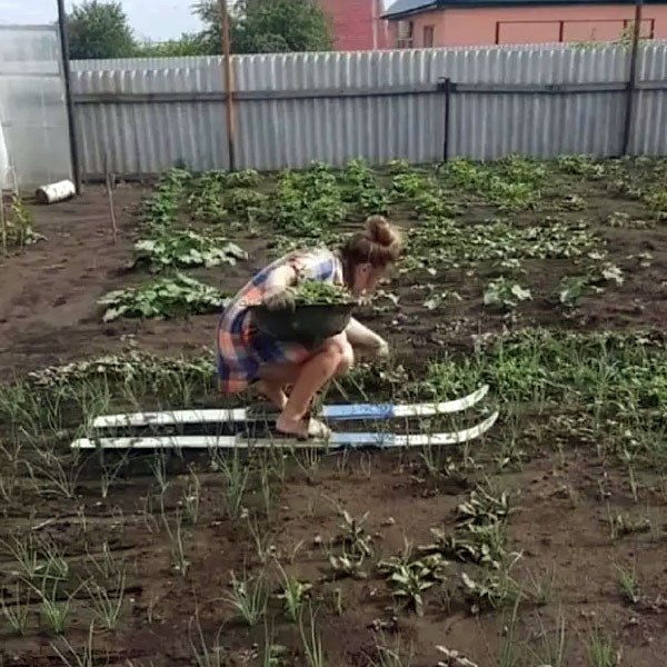 Так себе картинки 24.07.23