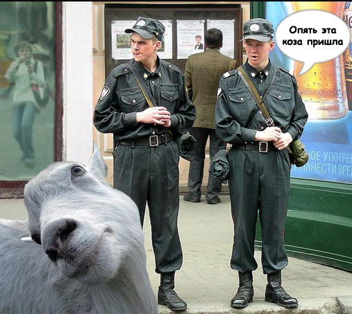 Три товарища
