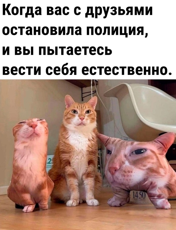 Так себе картинки 01.06.24