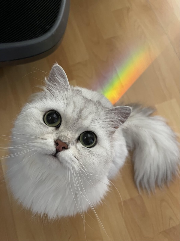 ФотоВинегрет