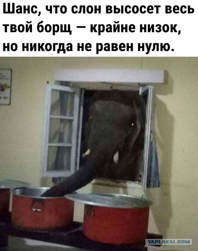 Так себе картинки 15.07.24