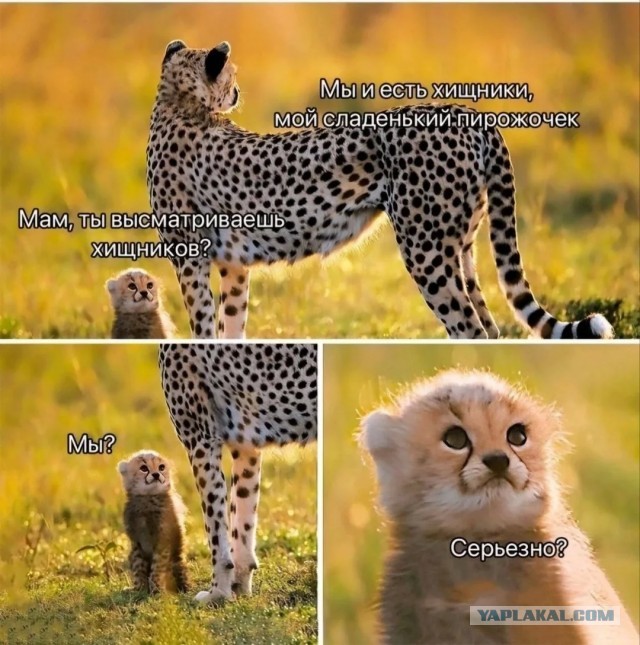 Давайте опубликуем