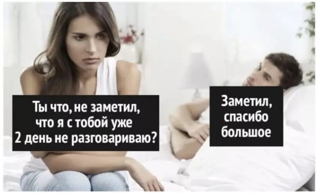 Весёлый полтишок 16.02.25
