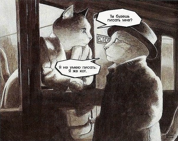 А где котики, сегодня же вторник!
