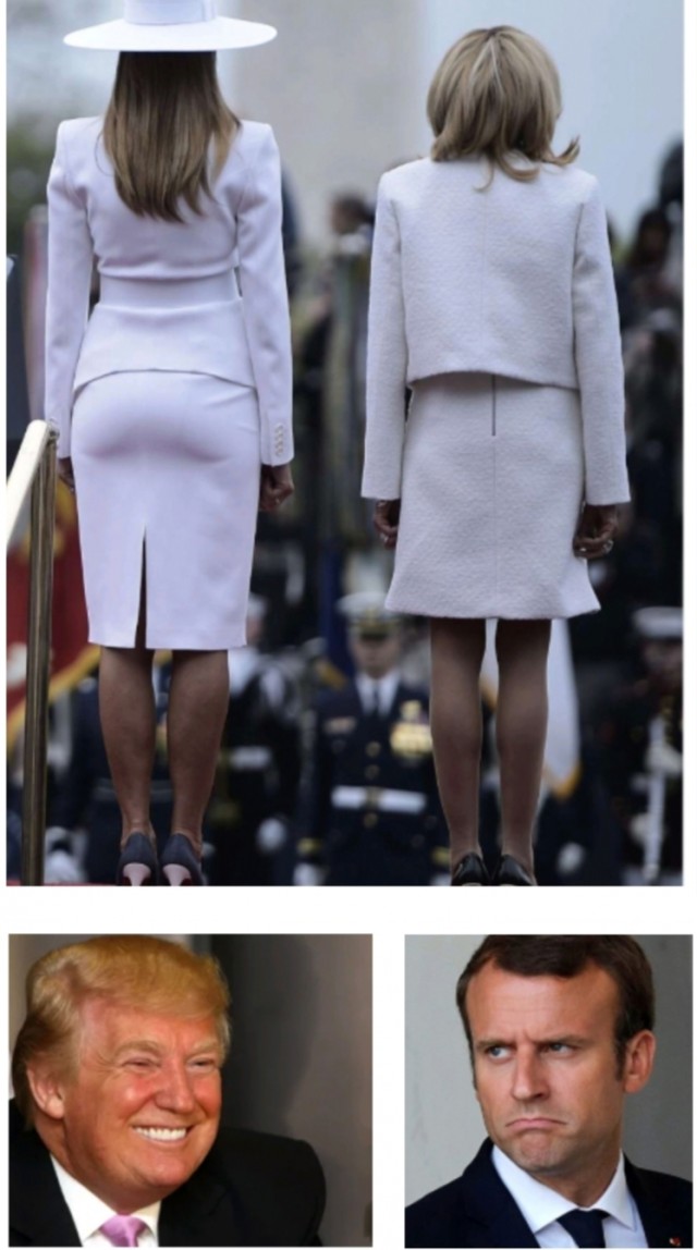 Суд доказал, что Бриджит Макрон — это мужик